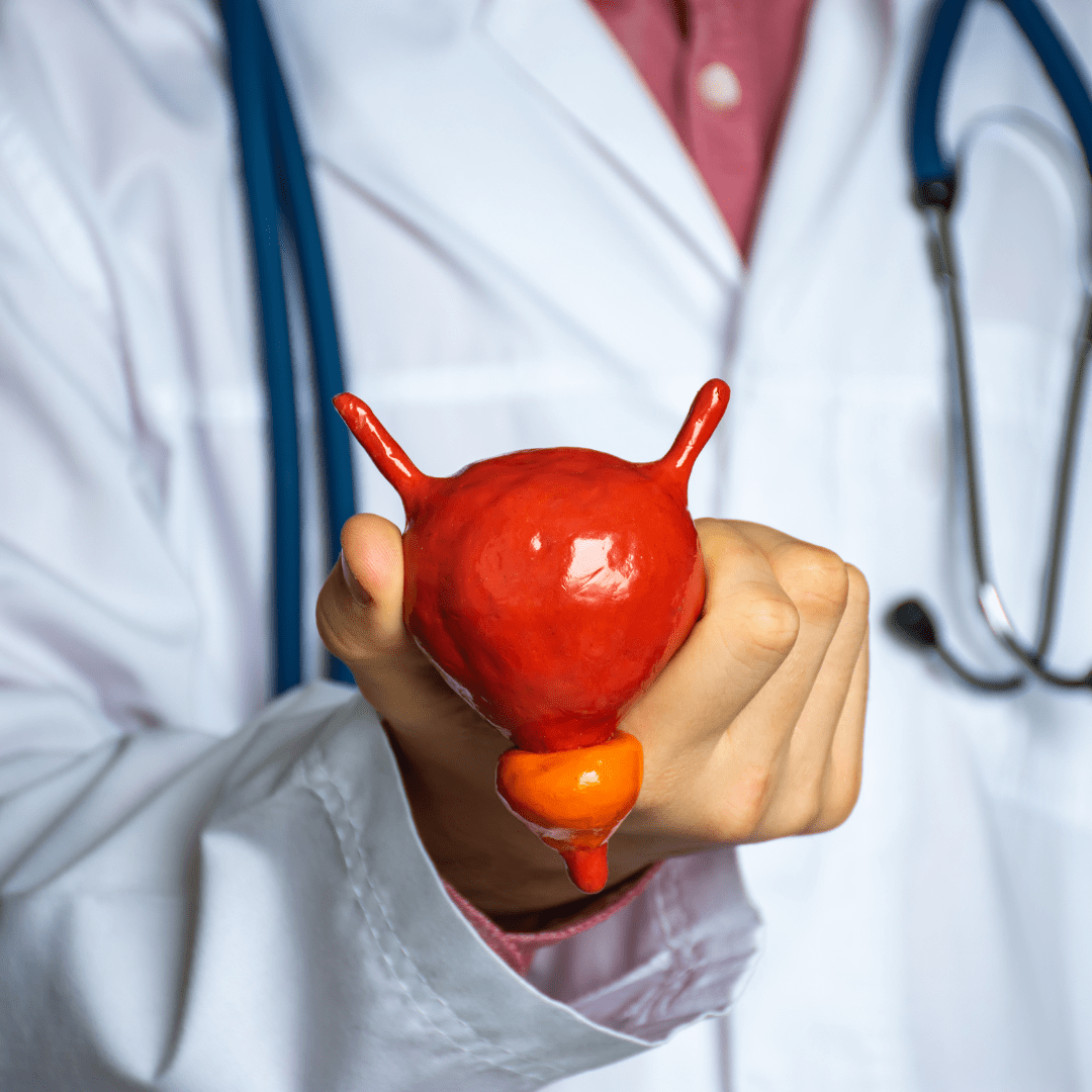 cursos de sondas vesiculares online